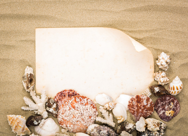 Conchas marinas sobre arena de playa con papel viejo. Fondo de verano
 - Foto, Imagen