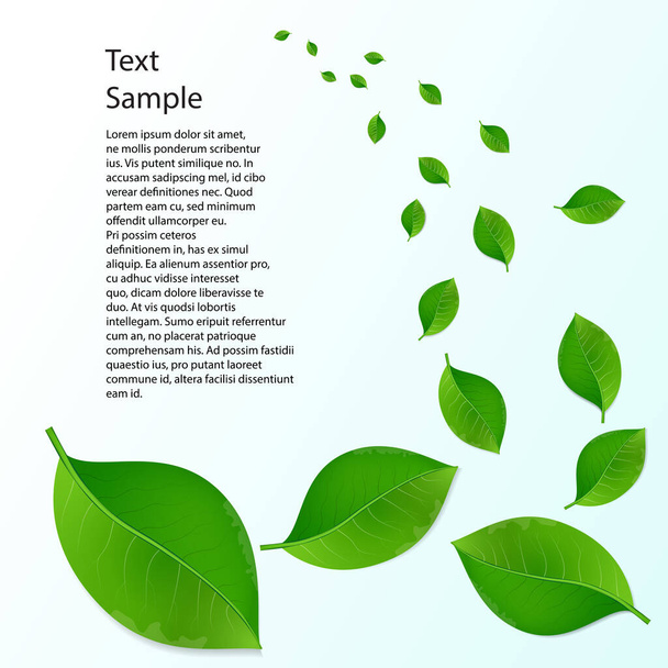 Emerald foliage business template or cover - Vektör, Görsel