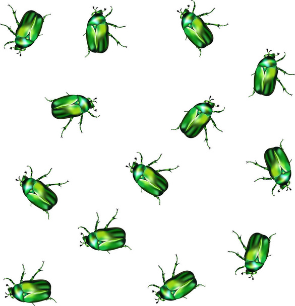 Nahtloses Muster mit smaragdgrünem Chafer - Vektor, Bild