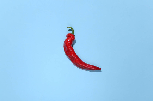 Chilli paprika kék háttérrel. Felülnézet - Fotó, kép