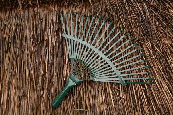 Metal yeşil bir fan tırmık ahşap bir direğin yanında durur ve sonbahar yaprakları yeşil çimenli bir çimenliğe saçılmıştır. Bahçedeki yeşil çimlerde metal fan tırmığı.. - Fotoğraf, Görsel