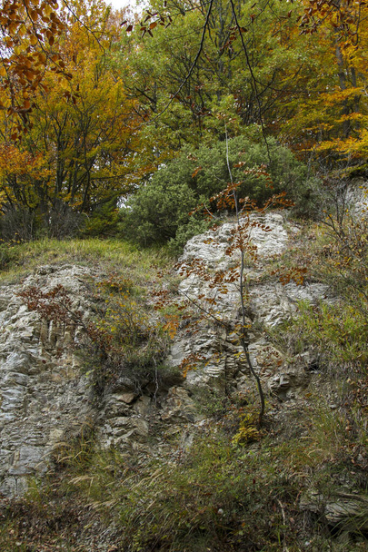 βράχια και φύλλα βελανιδιάς σε ένα ορεινό μονοπάτι στην Ιταλία. Υψηλής ποιότητας φωτογραφία - Φωτογραφία, εικόνα
