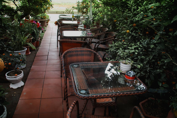 Confortable petit jardin en terrasses rempli de plantes tropicales pour un espace de détente pour la maison pendant l'été et le printemps - Photo, image