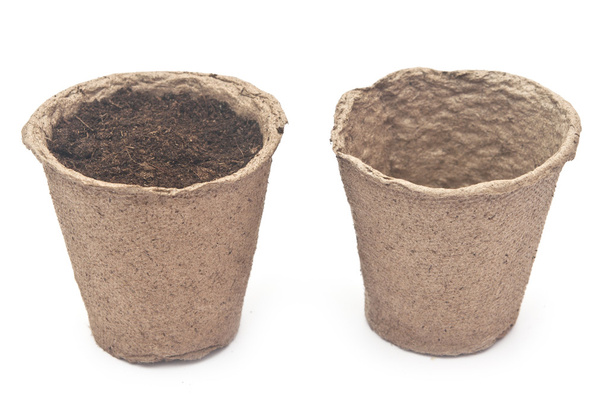 Vasos de turfa para plântulas em crescimento, isolados em backgrou branco
 - Foto, Imagem