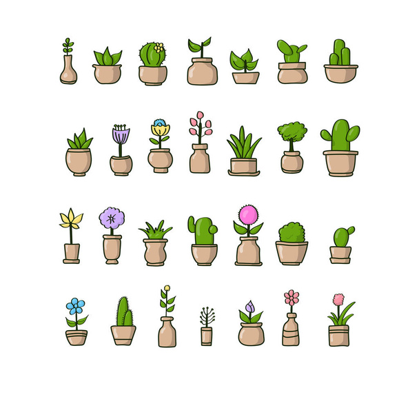 Définir les plantes florales et le cactus fleuri avec ombre et mettre en évidence dans des pots illustration vectorielle isolé sur fond blanc - Vecteur, image