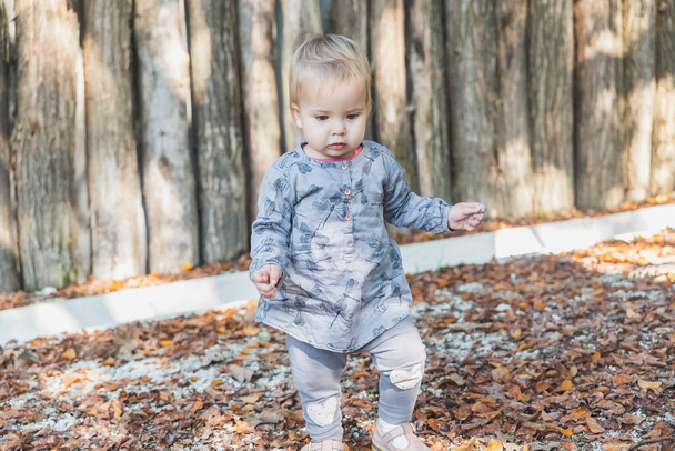 lindo bebé camina en el parque de otoño - Foto, imagen