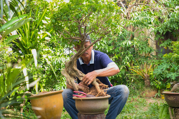 Щасливий старший чоловік садівництво на задньому дворі
 - Фото, зображення