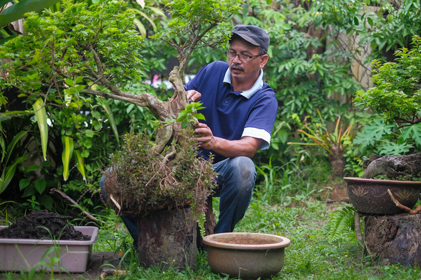 Šťastný senior muž zahradničení na zahradě - Fotografie, Obrázek