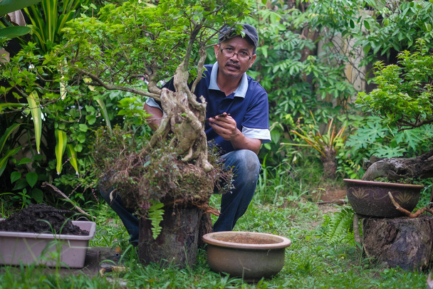 Щасливий старший чоловік садівництво на задньому дворі
 - Фото, зображення