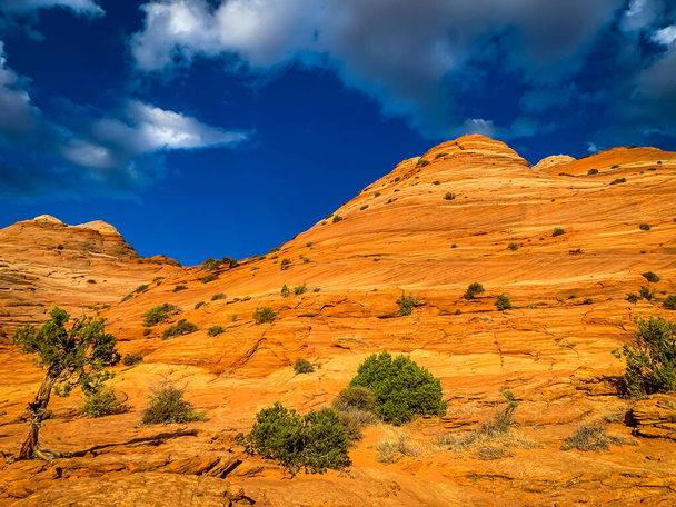 Formaciones rocosas de arenisca ubicadas en Coyote Butte North, Arizona - Foto, imagen