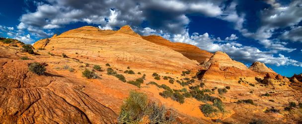 Formacje skalne z piaskowca znajdujące się w Coyote Butte North, Arizona - Zdjęcie, obraz