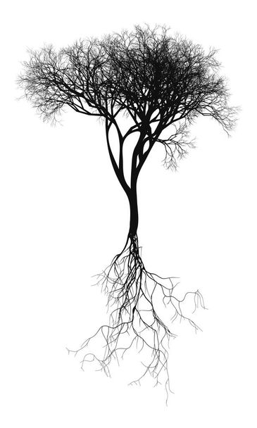 Schwarzer naturalistischer kahler Baum mit Wurzelsystem - Vektorillustration - Vektor, Bild