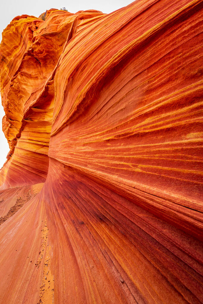 波は、カラフルな起伏のあるフォームで知られているアリゾナ州コヨーテ・ブッツに位置する有名な砂岩の岩の形成です。 - 写真・画像