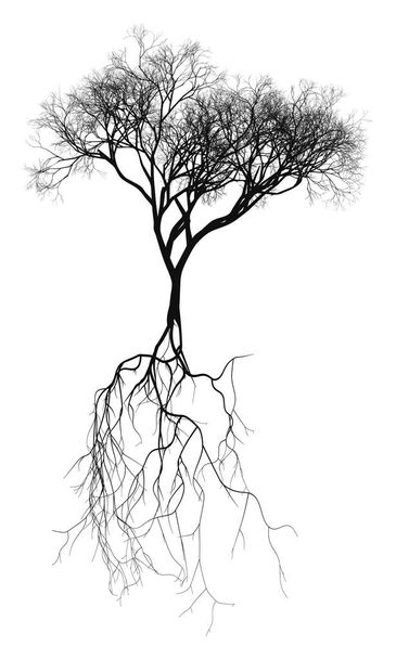Черное натуралистическое голое дерево с корневой системой - векторная иллюстрация - Вектор,изображение