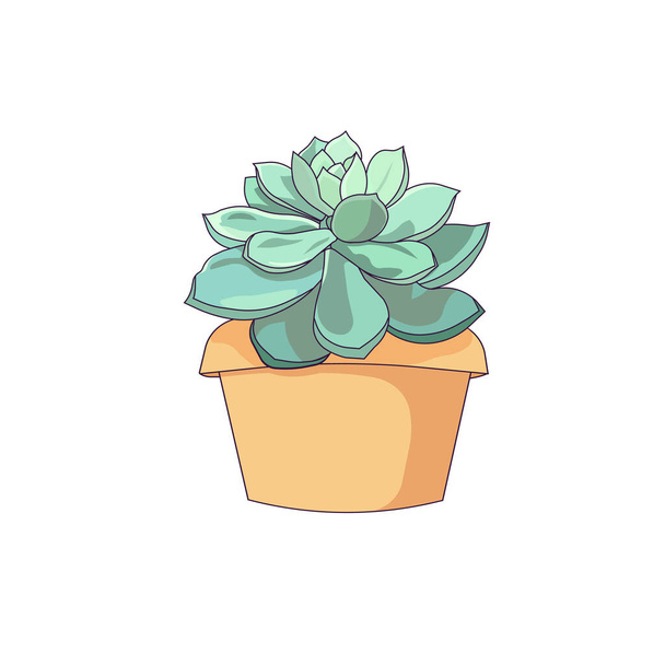 Isolated Stone Rose in Cartoon style, Vector Echeveria on white isolated background, outlined cute succulent for prints, patterns, stickers, elements of Decor, icons for social networks and websites. - Vektori, kuva