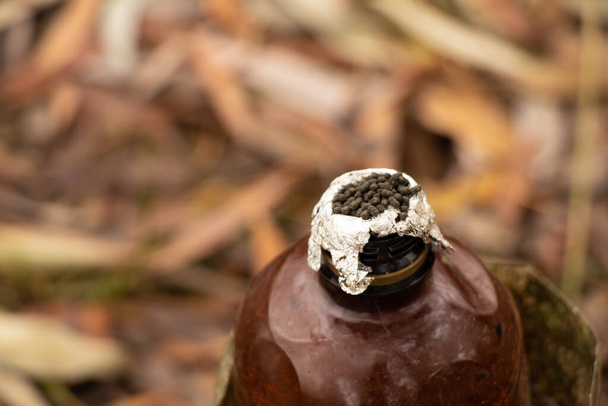 domácí plastová láhev na tabák ke kouření vyhozený v lese, odpadky v lese, drogová závislost - Fotografie, Obrázek