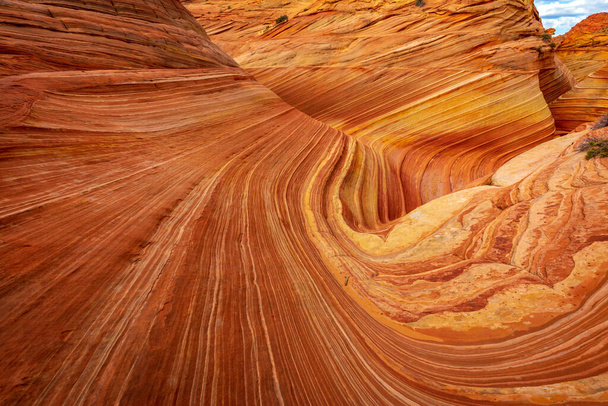 Хвиля (англ. The Wave) - знаменита скельна формація пісковику, розташована в Койот Буттс, штат Арізона, відома своїми барвистими, хвилястими формами. - Фото, зображення