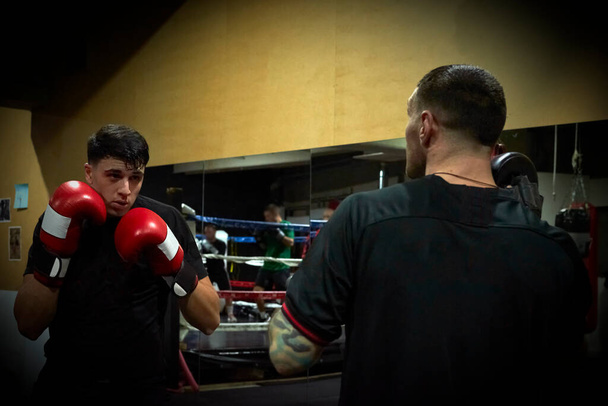 Boxeadores masculinos determinados que practican en el club de salud - Foto, Imagen
