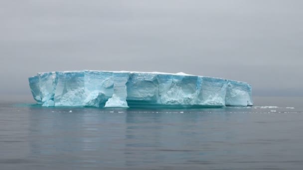 Antartica - Tabular Iceberg in Bransfield Strait - Footage, Video