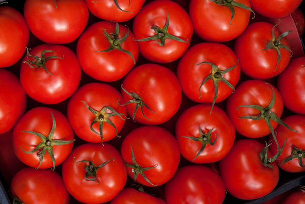 Rijp verse tomaten patroon, zij aan zij, uitzicht van boven. - Foto, afbeelding