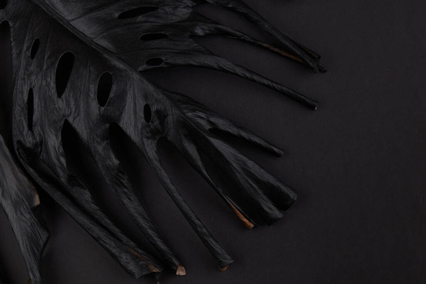 Luxuriöses schwarzes Monstera-Palmblatt auf dunkelmattem Hintergrund. Minimaler exotischer Hintergrund. Raum für Text - Foto, Bild