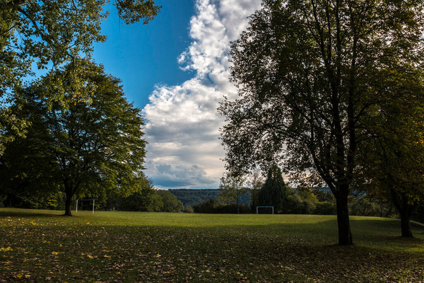 Grünes Gras und umgefallenes Laub auf dem Fußballplatz draußen - Foto, Bild