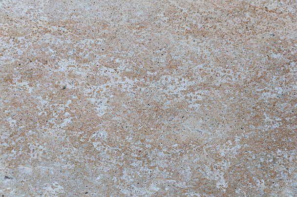 Parede de rocha de concha de coquina natural feita de areia e conchas. - Foto, Imagem