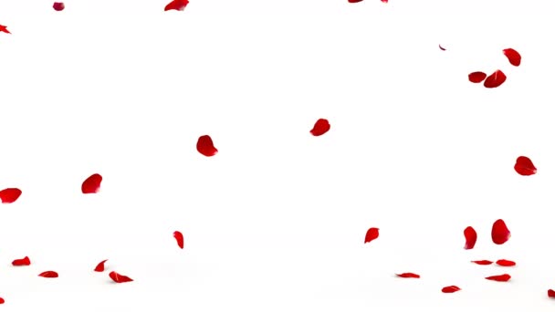 Κόκκινα ροδοπέταλα πετούν και από τις δύο πλευρές και πέφτουν στο πάτωμα. Ποιότητα βίντεο 4K - Πλάνα, βίντεο