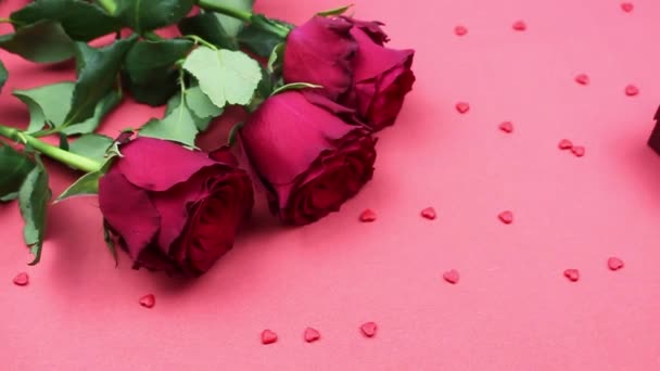 Kaunis avaaminen punaisia ruusuja punaisella taustalla. Loma, rakkaus, syntymäpäivä. Sydämiä, punainen lahja. 4K - Materiaali, video