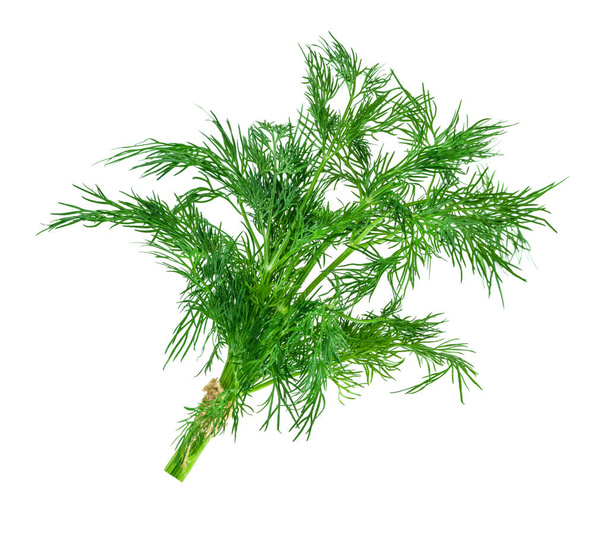 Bunch of Ripe Dill Isolated on White - Photo, Image