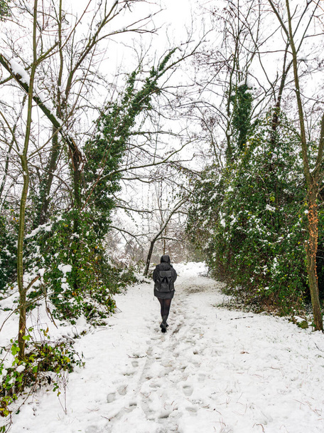 Una mujer vestida de oscuro camina en un bosque nevado en un día de invierno - Foto, Imagen