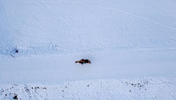 Repülőgép drón lövés magányos női lovas ló télen a hóban - Fotó, kép