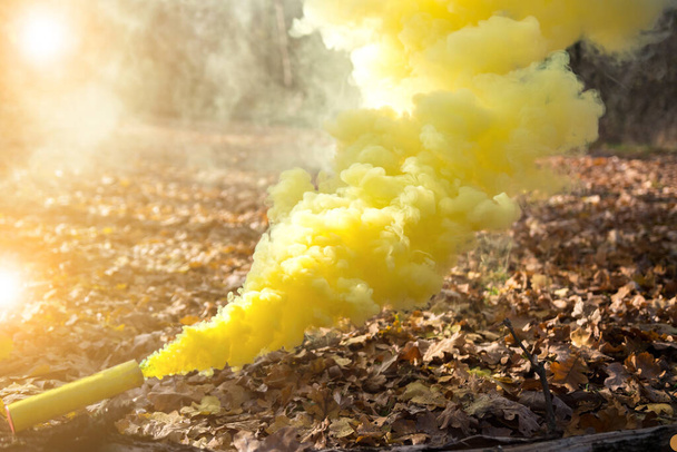 wolken van geel gekleurde rook rookt tegen de achtergrond van de natuur in de herfst of vroege lente. stralen van de zon op doorreis. rekwisieten voor een fotoshoot. - Foto, afbeelding