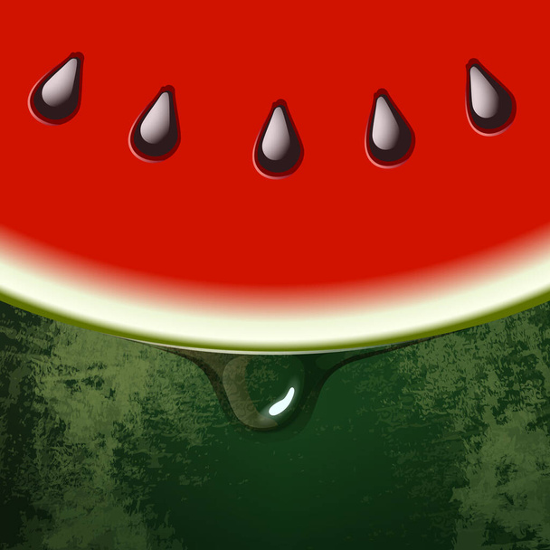 fresh watermelon half slice. peel skin texture. vector illustration. - Vector, Image