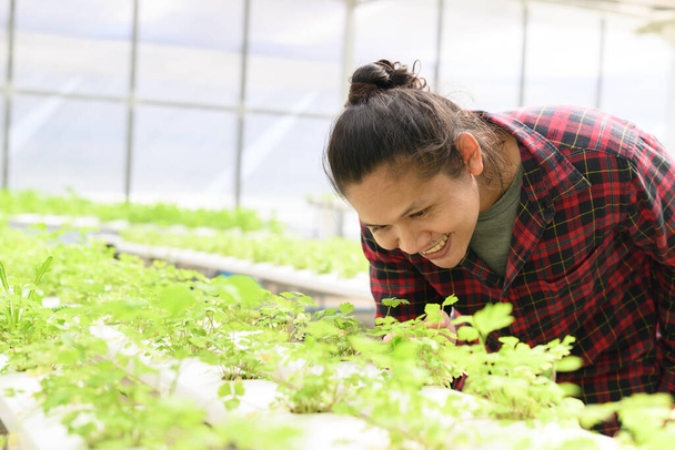 Asiático joven agricultor buscando calidad de verduras en hidroponía invernadero granja - Foto, Imagen