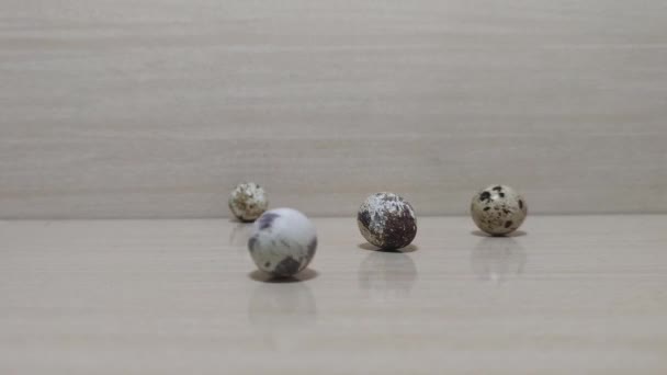 Quail eggs laid on flat surface - Footage, Video
