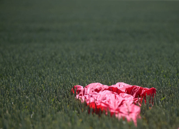Red material on a green meadow, background - Photo, Image