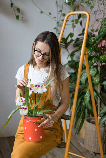 全体を身に着けている眼鏡の若い笑顔の女性庭師は、古い赤牛乳で蘭の世話をすることができますオレンジのヴィンテージはしごに立つ。ホームガーデニング、観葉植物の愛、フリーランス.  - 写真・画像