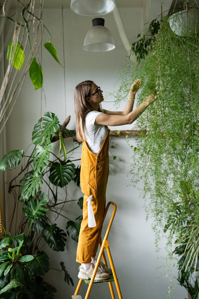 Young woman gardener in orange overalls inspected and caring for lush asparagus fern houseplant in her flower store, standing on stepladder. Greenery at home. Love of plants. Indoor cozy garden - Zdjęcie, obraz