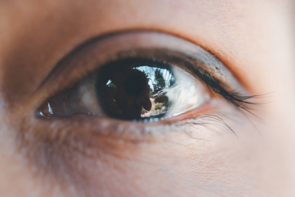 Makro des Auges oder Augapfels schwarze Farbe der asiatischen Frau mit Augenbraue, Wimpern und Augenlid in Konzept Augengesundheit und Vision im Leben - Foto, Bild