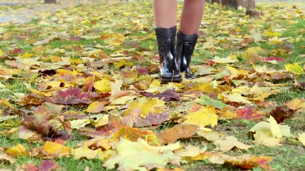 Düşen yaprakların üzerinde yürüyen bir kadının bacakları. Soğuk bir sonbahar gününde çizmeli şık kadın bacakları. Parkta sonbahar soğuk günü - Video, Çekim