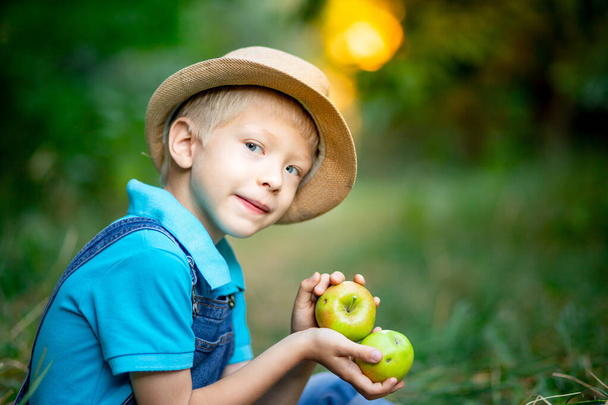 portret van een jongen van zes jaar oud in een appelboomgaard met appels - Foto, afbeelding