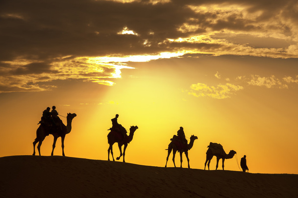 desert local walks with camel through Thar Desert - Photo, Image