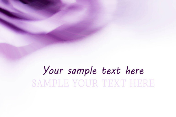 美しい紫色のラベンダーピンクの背景、テキストのための白いスペースと滑らかなライン。背景にラベンダーのバラを変更 - 写真・画像