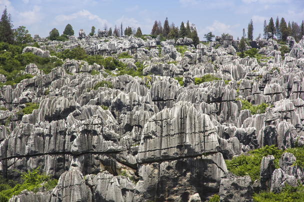 Stone forest national park in Yunnan province - 写真・画像