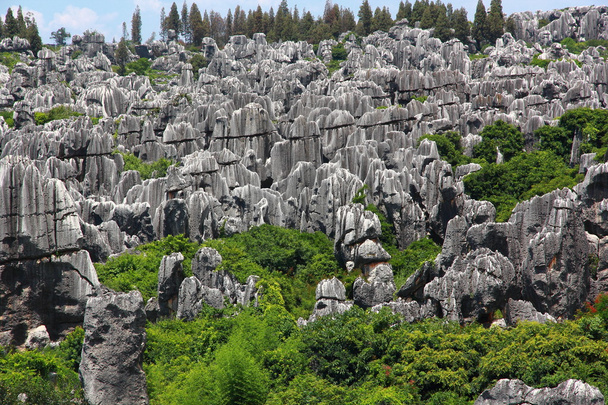 Parc national de la forêt de pierre dans la province du Yunnan
 - Photo, image