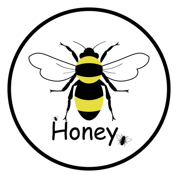Mehiläisen logo. Hunajainen. Yksinkertainen mehiläinen valkoisella taustalla, logo. - Vektori, kuva