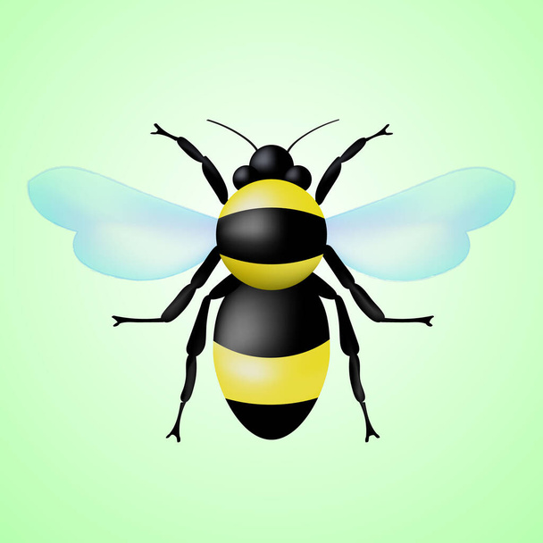 Objętościowa pszczoła 3D izolowana na tle. - Wektor, obraz