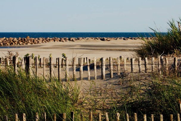 Beach with dunes and wooden fence - Photo, Image