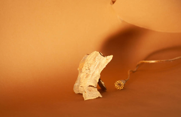 Fondo marrón amarillo abstracto para diseñadores, papel curvo y luz suave, hoja y piedra secas del otoño, concepto del marchitamiento. - Foto, imagen